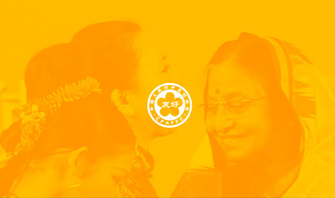 中国人民对外友好
协会官网网站开发